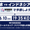 2025年6月10日(火) 　日本ーインドネシア