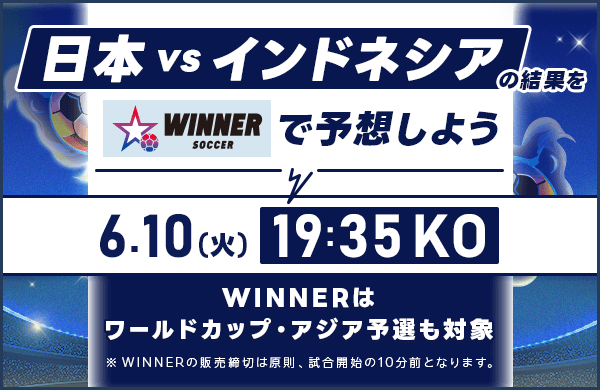 2025年6月10日(火) 　日本ーインドネシア
